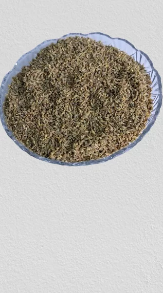 the Seeds import company