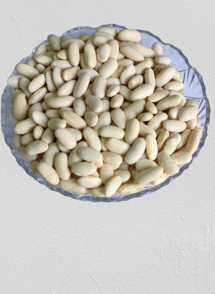 Importing white beans from Egypt