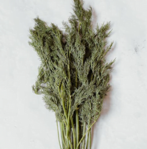 Dill