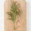 Dill