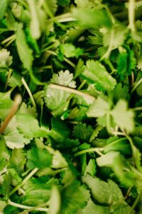 parsley