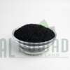 Nigella Sativa Exporter Egypt