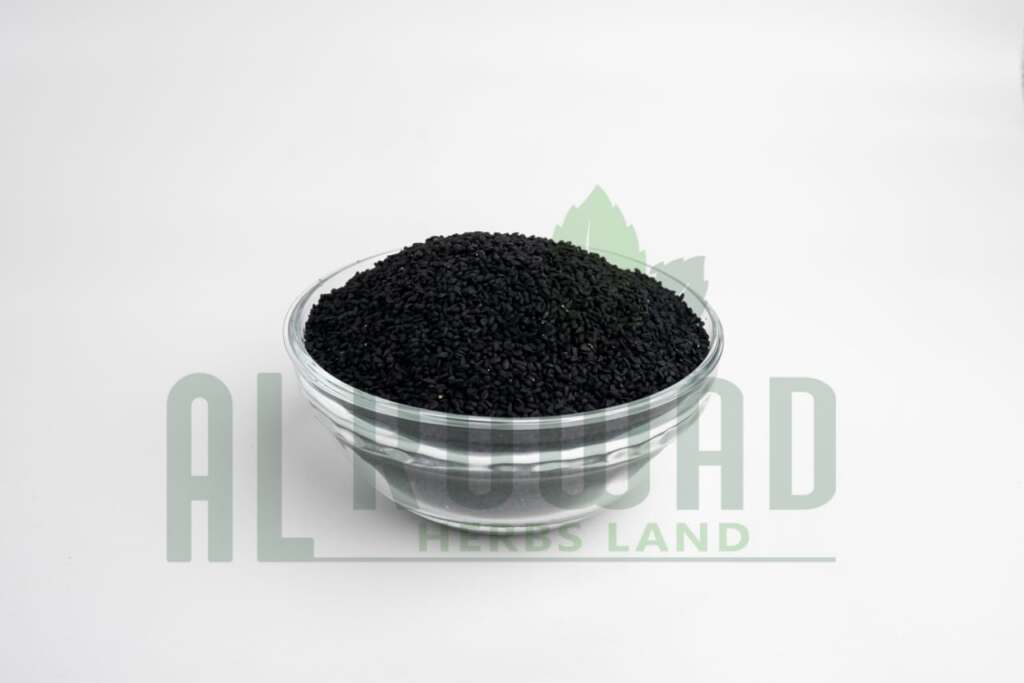 Nigella Sativa Exporter Egypt