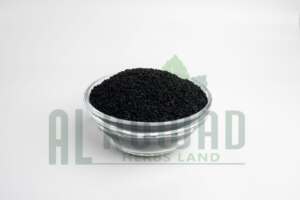 Nigella Sativa Exporter Egypt