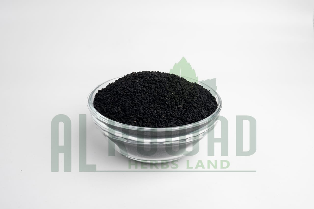 Nigella Sativa Exporter Egypt