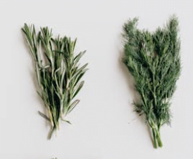 Buy herbs from Egypt