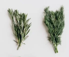 Buy herbs from Egypt