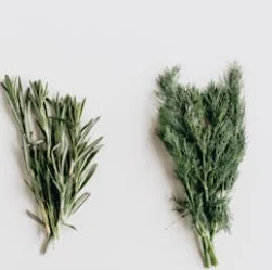 Herbs